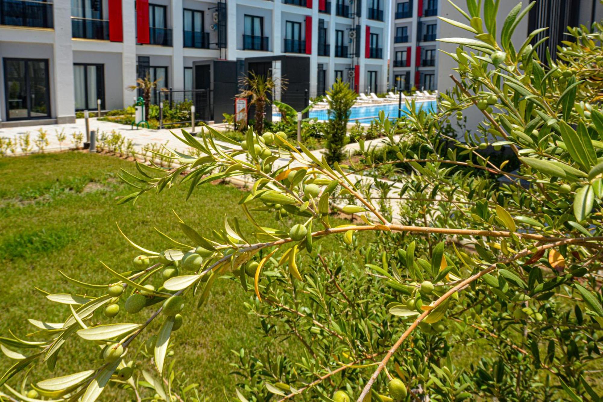 C Suites Antalia Airport Exteriér fotografie